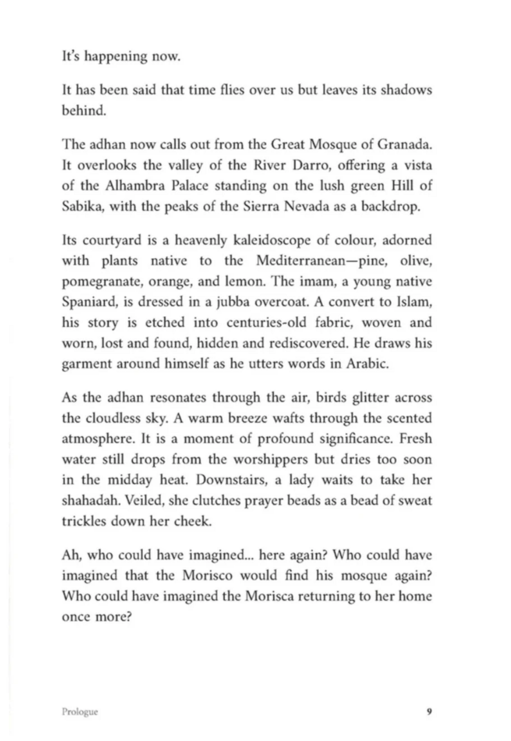 Shadows Of Strangers