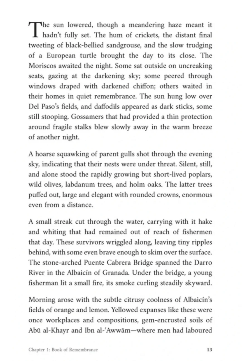 Shadows Of Strangers